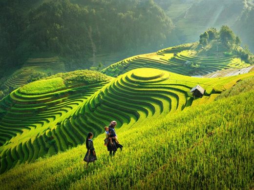 Chia Sẻ Kinh Nghiệm Du Lịch Mộc Châu 2 Ngày 1 Đêm