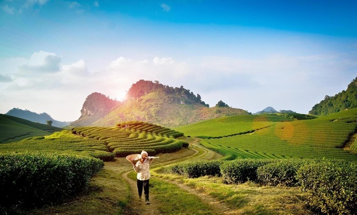 Hành Trình 2 Ngày 1 Đêm Khám Phá Mộc Châu Sẽ Bao Gồm Những Gì Trong Gói Tour