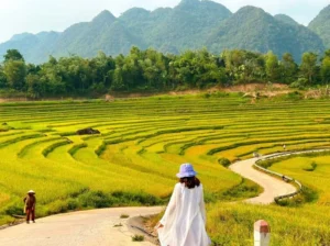 Pù luông
