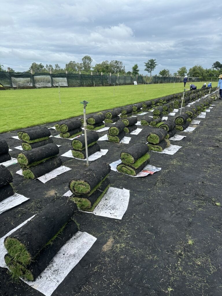 Z4534989834878 990fe286818a4e5498b3edecafdef4c8