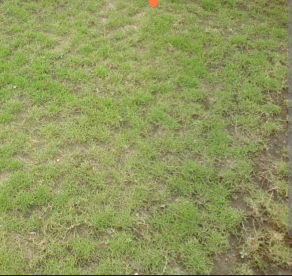 Z5871532601881 0ba2dfa53711910d4ea198bb3b663934