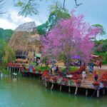 Kinh nghiem du lich mang den