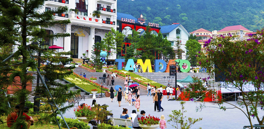 Review Kinh Nghiệm Du Lịch Tam Đảo 2 Ngày 1 Đêm
