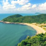 NV toàn cảnh